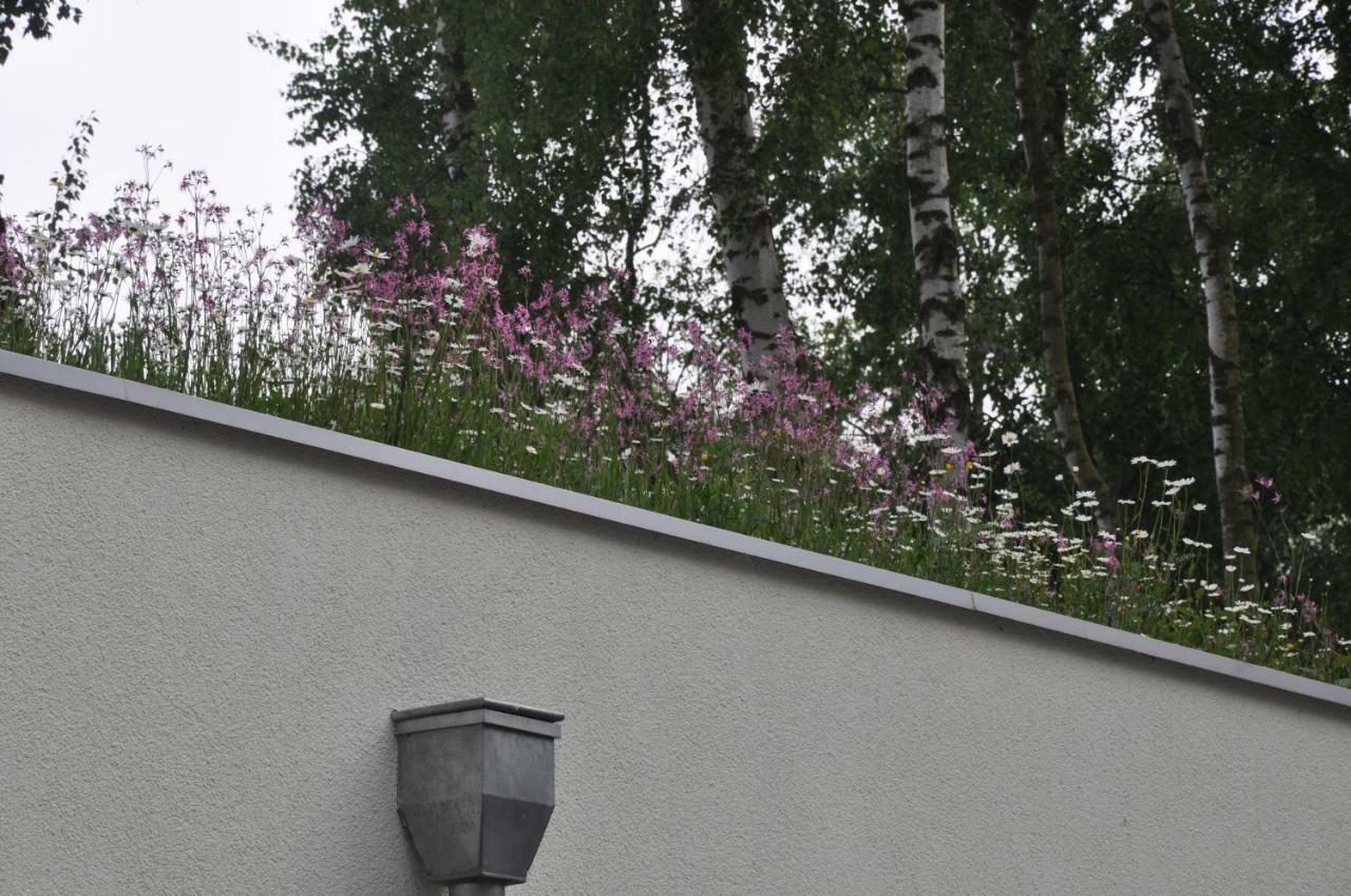 Idylla Apartamenty Polanki コウォブジェク エクステリア 写真